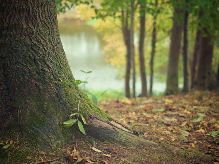 Engagement RSE de Maguin basé sur l’environnement, le social et la gouvernance pour un avenir industriel durable
