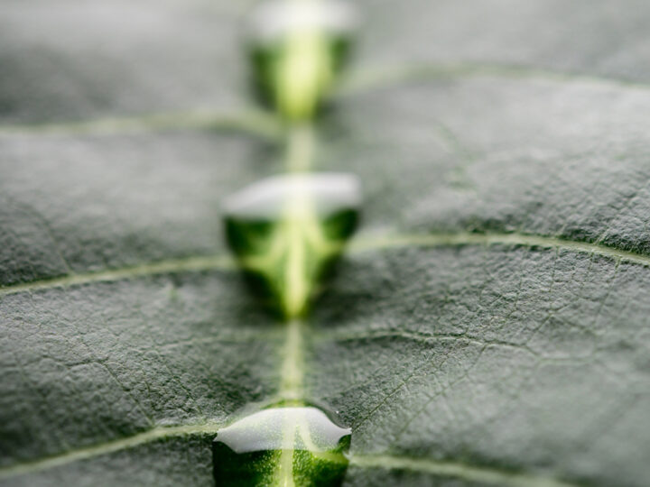 Maguin is committed to a strong CSR approach to building a sustainable future